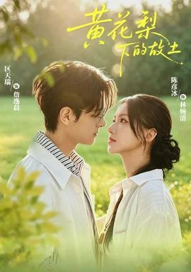 黄花梨下的故土